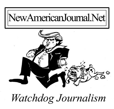 Welcome to the New American Journal